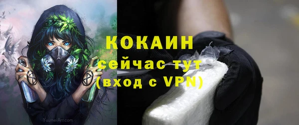трава Богородицк