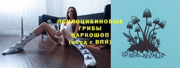 марки lsd Белокуриха