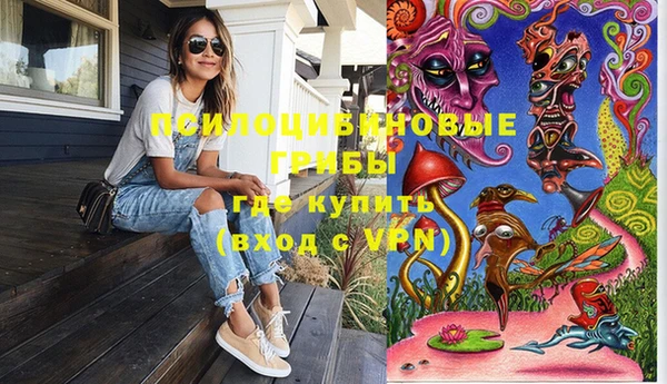мяу мяу мука Богданович